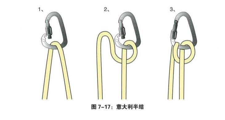 意大利半結.jpg 意大利半結.jpg